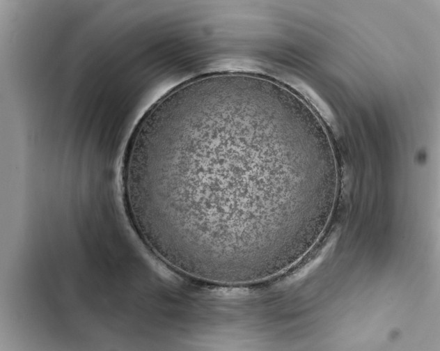 X0000102540893200808151640