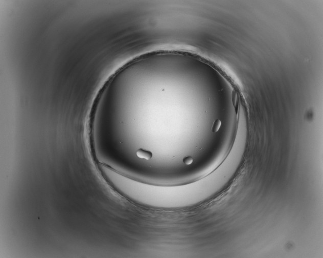 X0000102540895200808151640