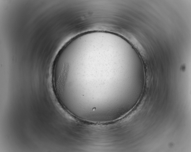 X0000102540896200808151640