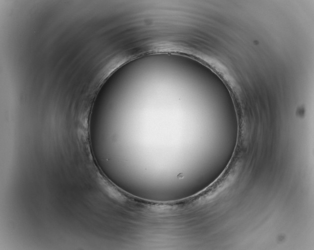 X0000102540897200808151640