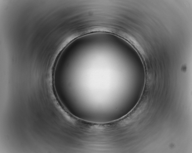 X0000102540898200808151640