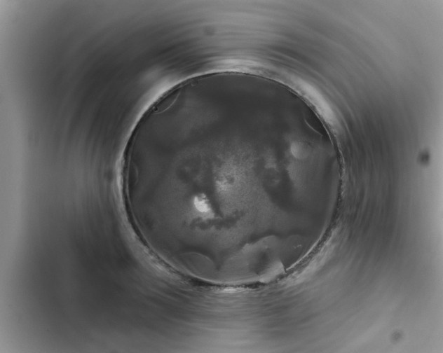 X0000102540899200808151640
