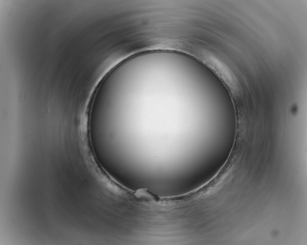 X0000102540900200808151640