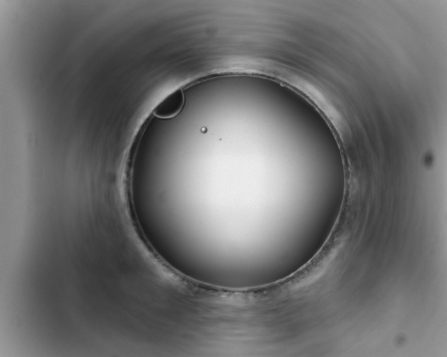 X0000102540901200808151640