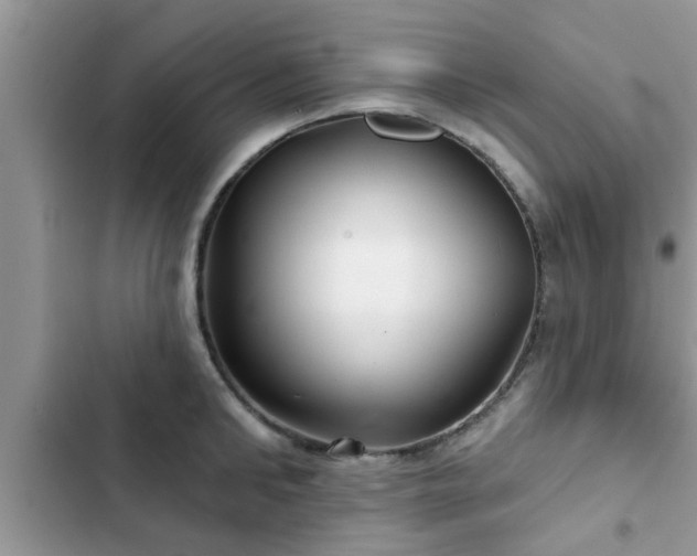 X0000102540902200808151640