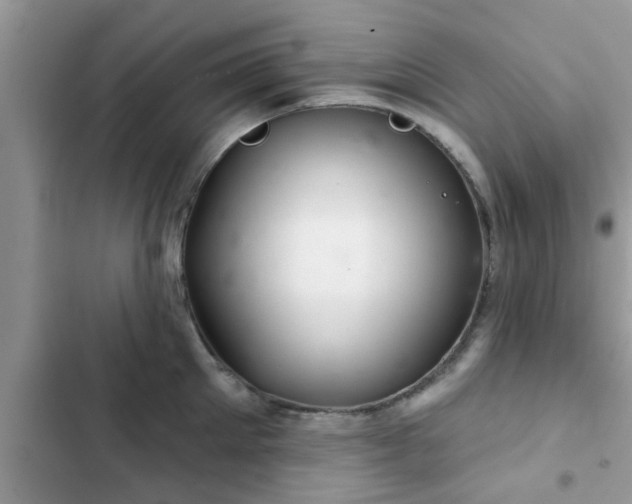 X0000102540905200808151640