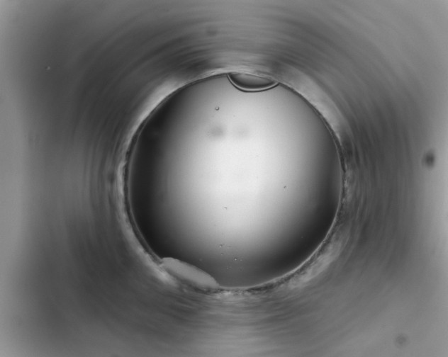 X0000102540906200808151640