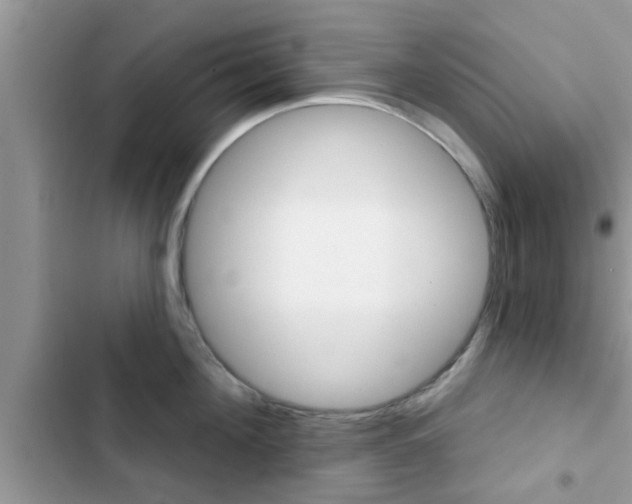 X0000102540908200808151640