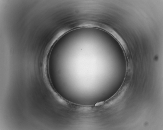 X0000102540909200808151640