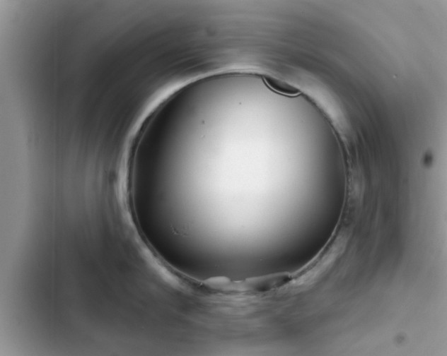 X0000102540910200808151640