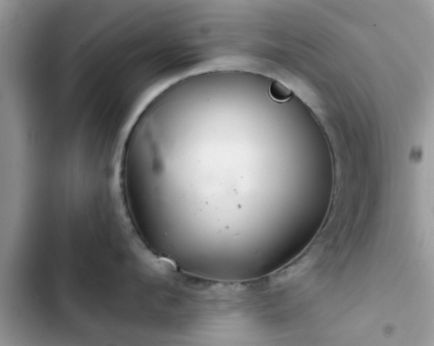 X0000102540912200808151640