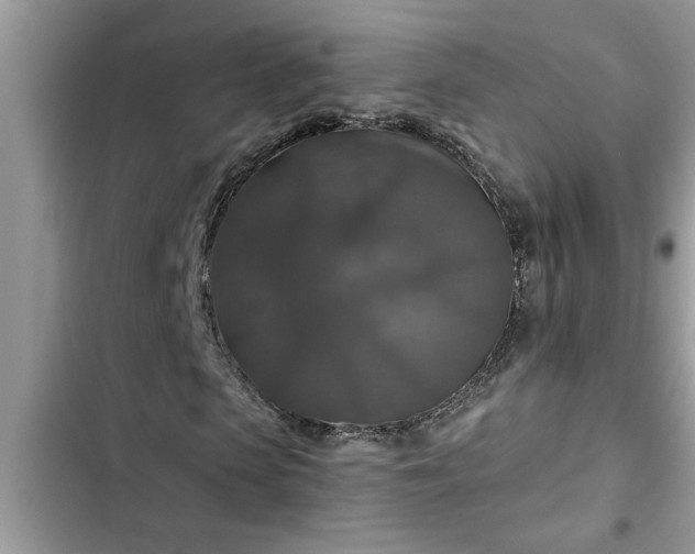 X0000102540913200808151639