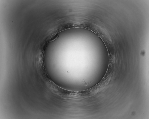 X0000102540914200808151639