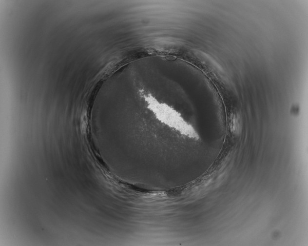 X0000102540915200808151639