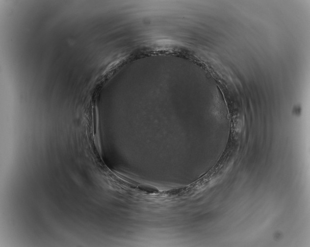 X0000102540916200808151639