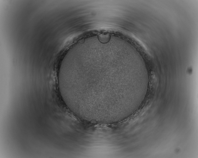 X0000102540918200808151639