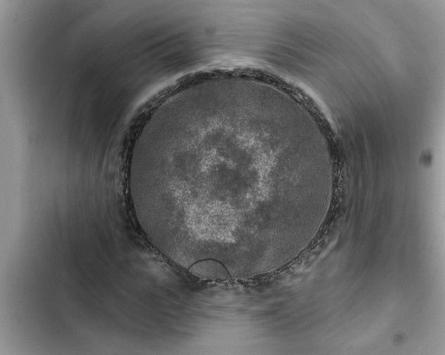 X0000102540919200808151639