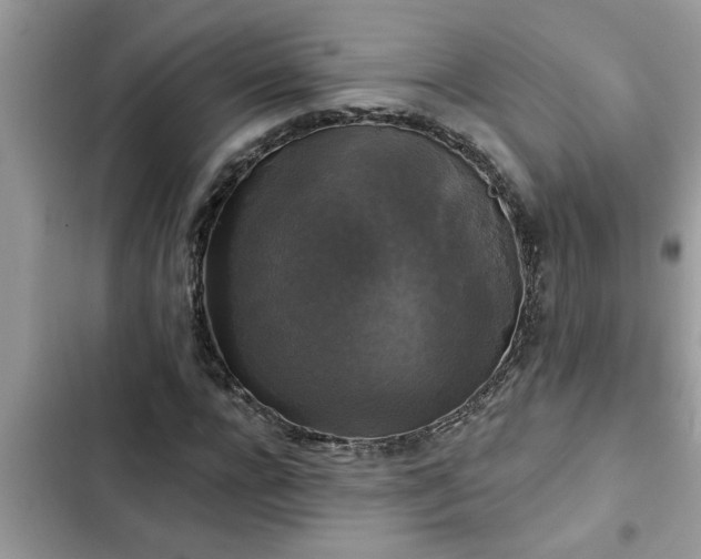 X0000102540920200808151639