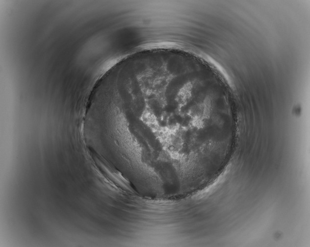 X0000102540921200808151639