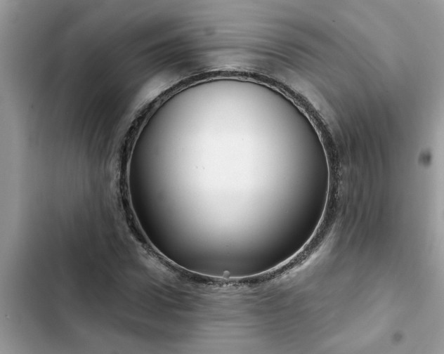 X0000102540922200808151639