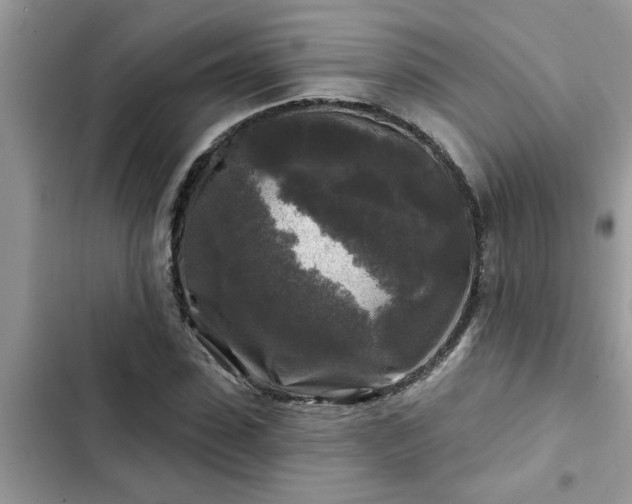 X0000102540923200808151639