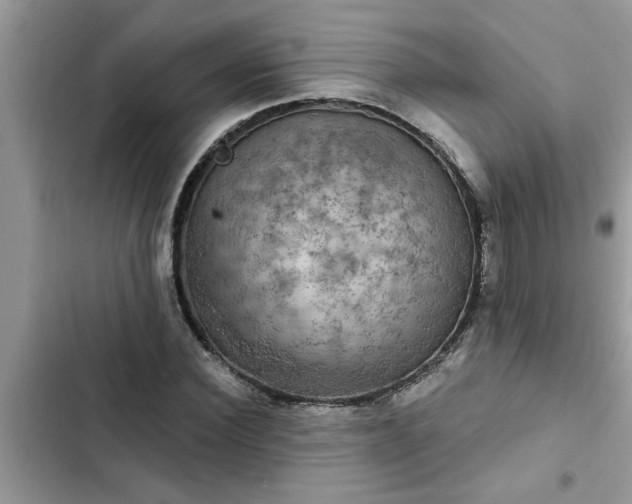 X0000102540924200808151639