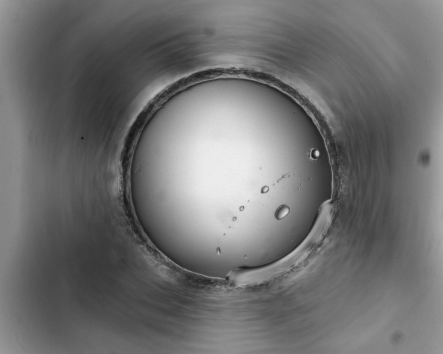 X0000102540927200808151639