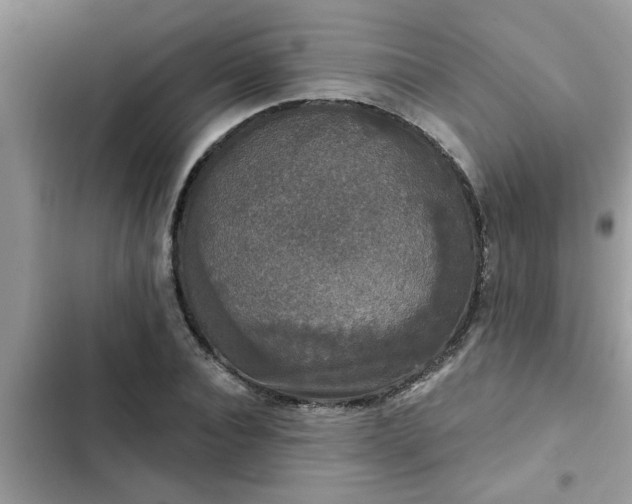 X0000102540928200808151639