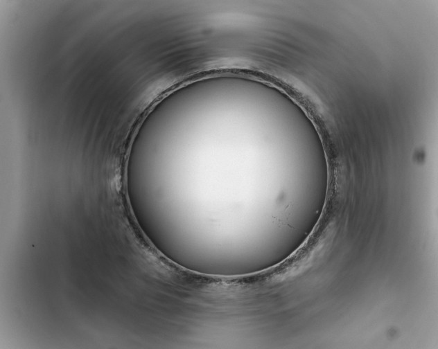 X0000102540929200808151639