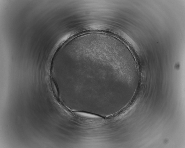 X0000102540930200808151639
