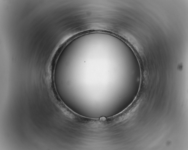 X0000102540931200808151639
