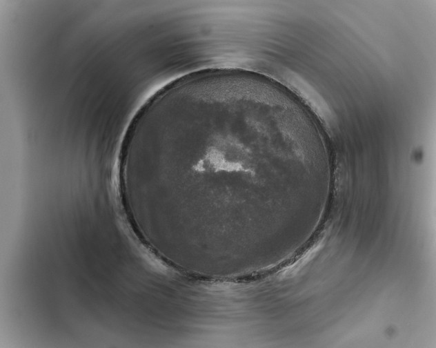 X0000102540932200808151639