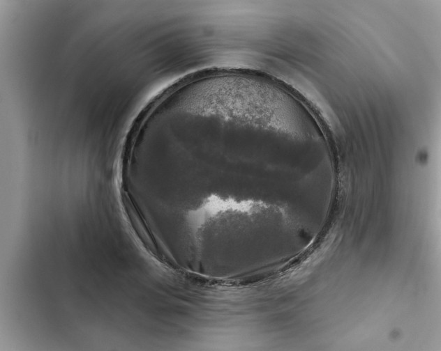 X0000102540935200808151639