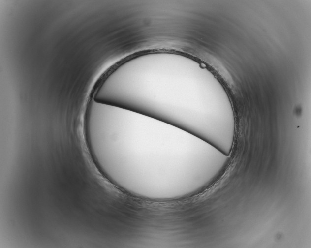 X0000102540936200808151639
