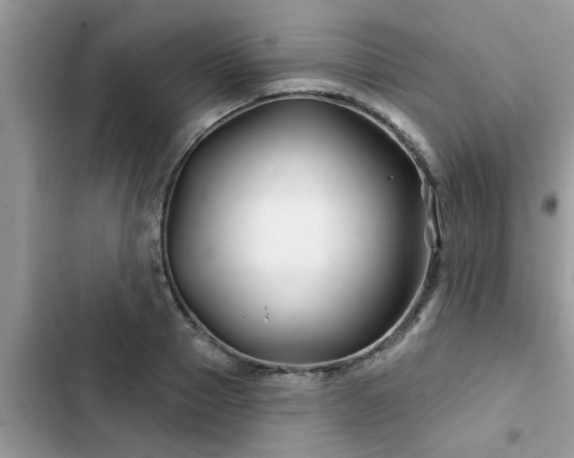 X0000102540937200808151639