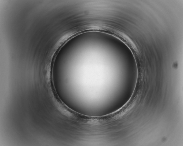 X0000102540938200808151639