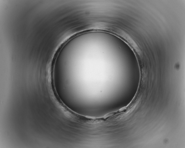 X0000102540939200808151639