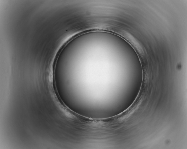 X0000102540940200808151639