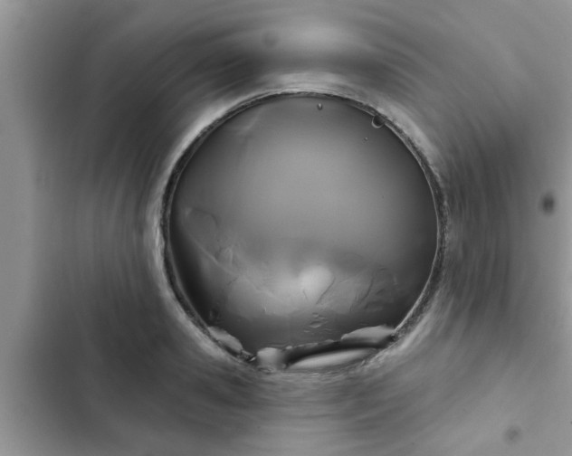 X0000102540941200808151639