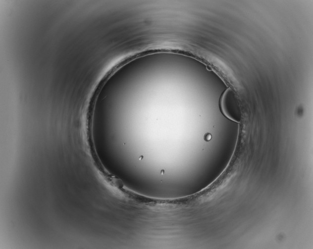 X0000102540942200808151639