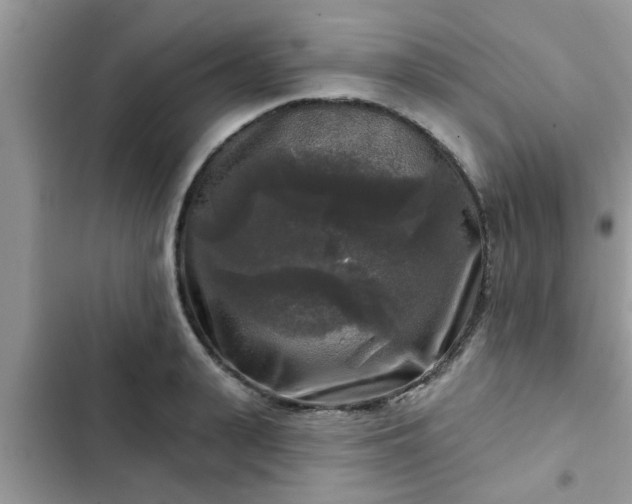 X0000102540943200808151639