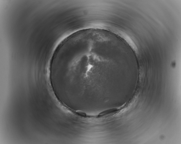 X0000102540944200808151639