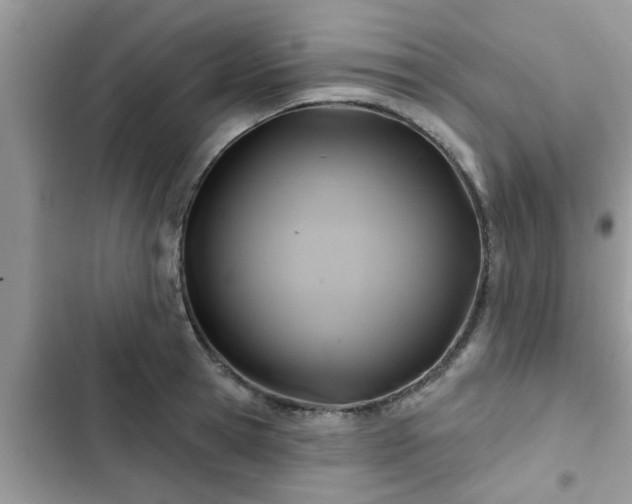 X0000102540945200808151639