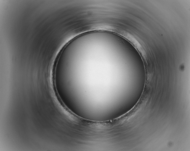 X0000102540947200808151639