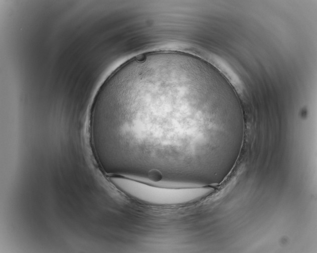 X0000102540948200808151639