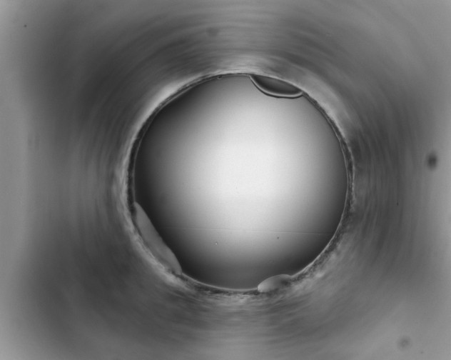X0000102540949200808151639