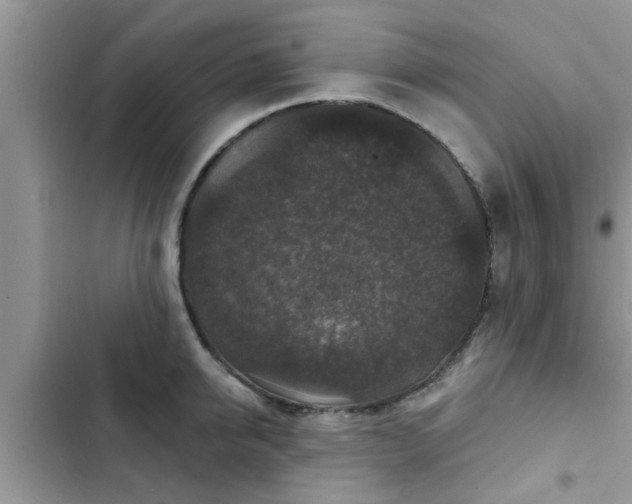 X0000102540950200808151639