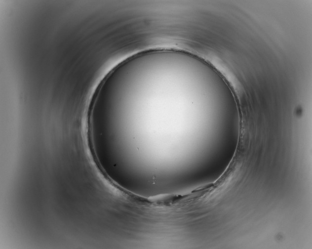 X0000102540951200808151639