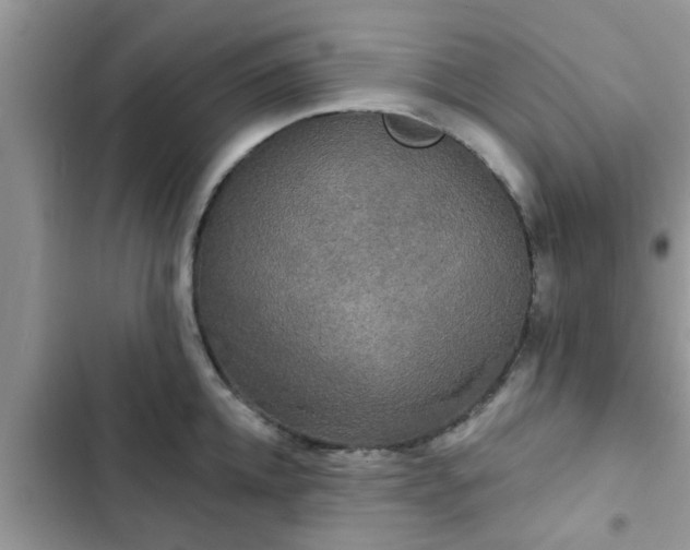 X0000102540952200808151639