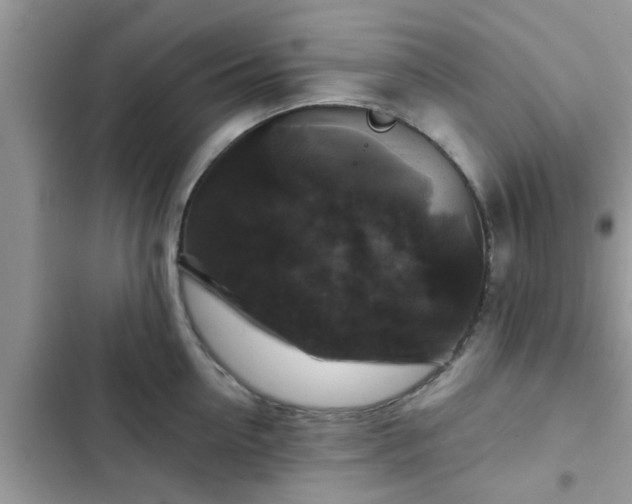X0000102540954200808151639